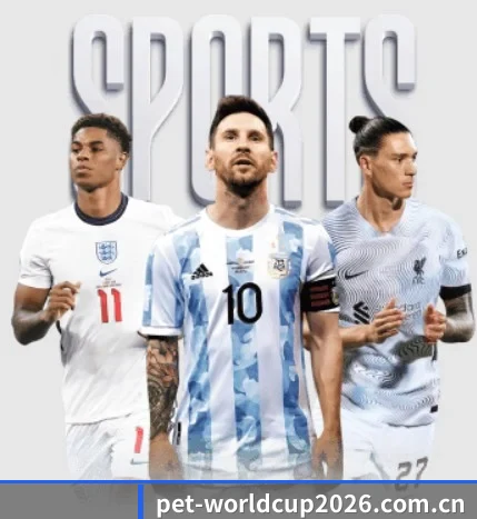 世界杯2026围绕看球场景设计的核心服务