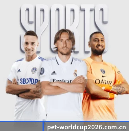 世界杯2026的方向 - 长期内容价值积累